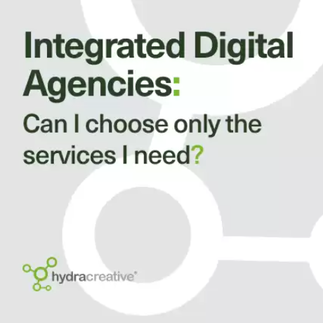 Hydra Insight - Integrated Digital Agencies: Can I choose only the services I need?