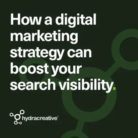 Hydra Insight - How a well-planned digital marketing strategy can boost your search visibility
