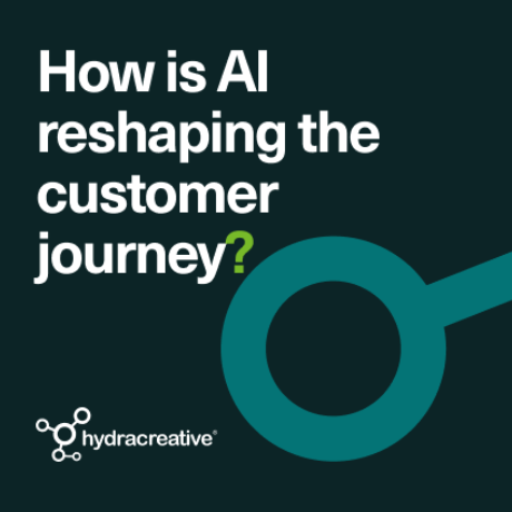 Hydra Insight - How is AI reshaping the customer journey?