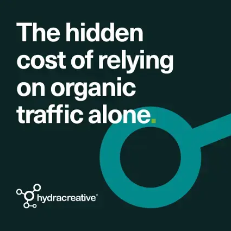 Hydra Insight - The hidden cost of relying on organic traffic alone