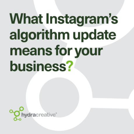 Hydra Insight - What does the latest Instagram algorithm update mean for your business?