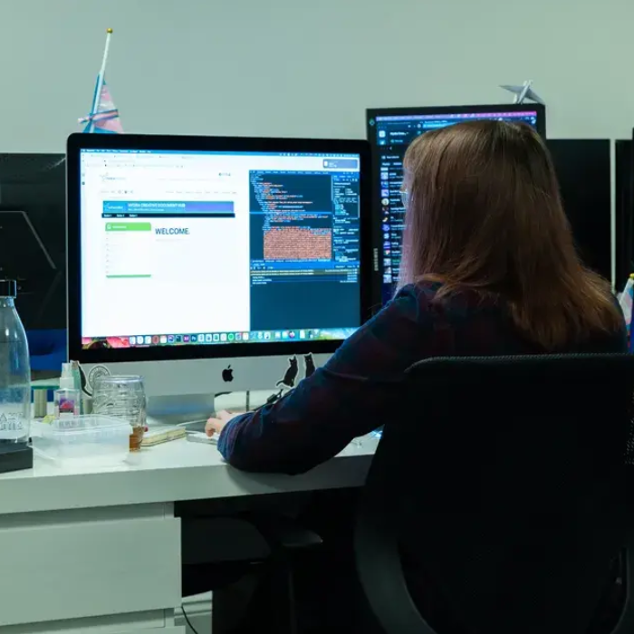 Your expert *web development partner*
