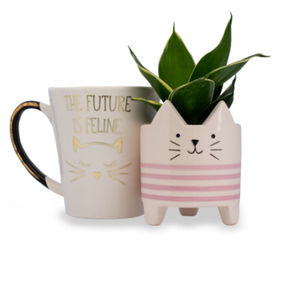 mugs supporting image