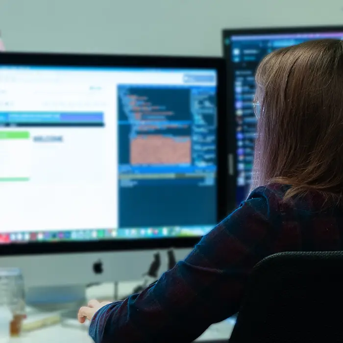 Your Expert *WordPress* Development Partner