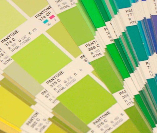 pantone colour of the year 2019 banner