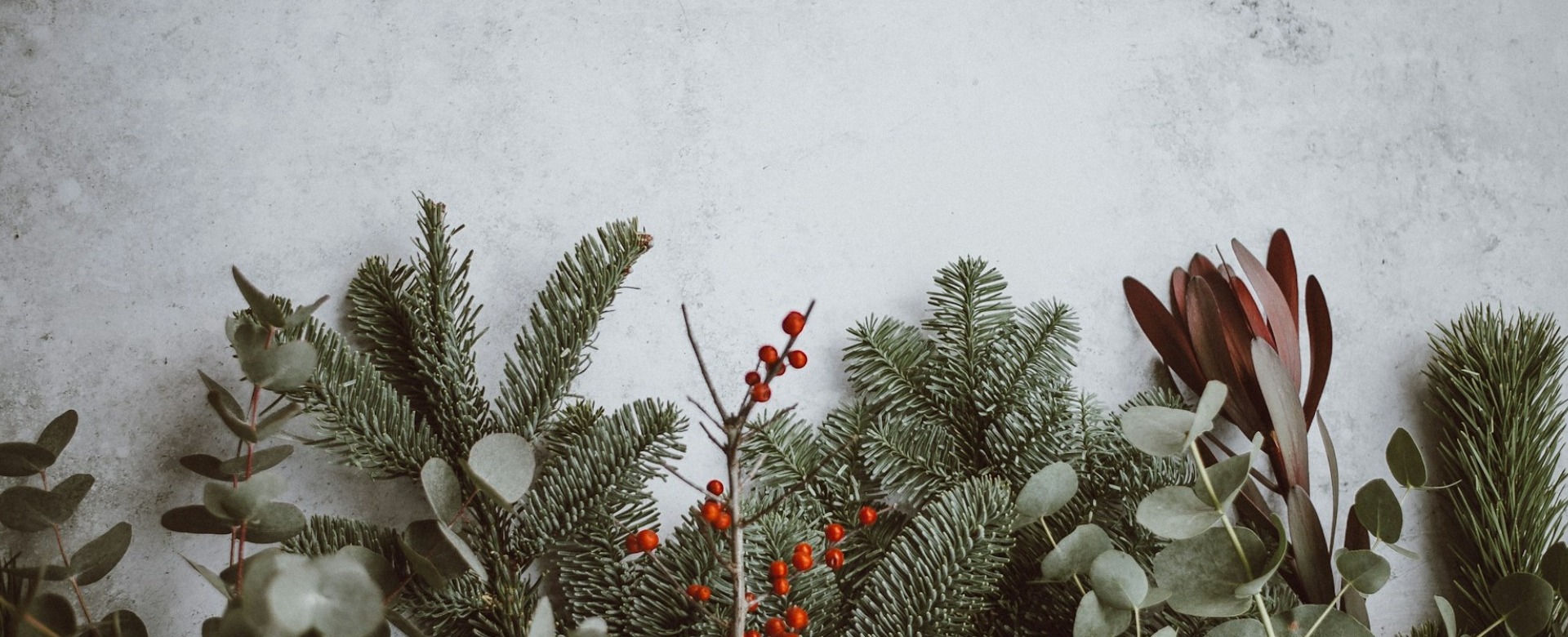 *Merry Christmas* from the team at Hydra Creative banner