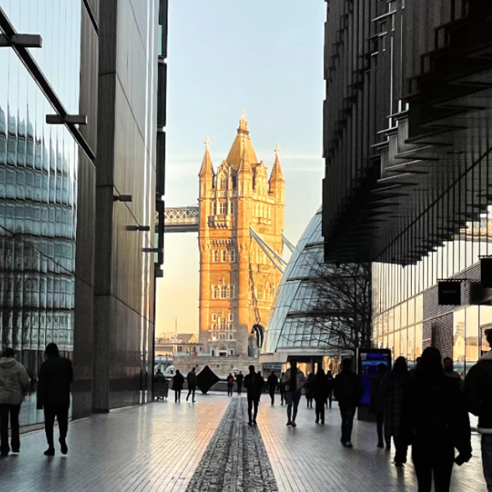 Local Authorities & Councils