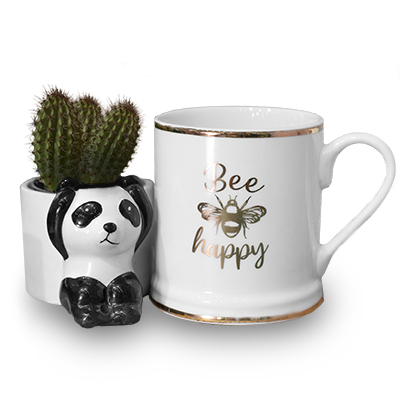 mugs supporting image