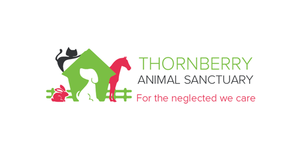 banner logo